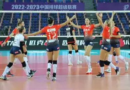 冲浪淘汰赛上演强强对话，关东犀牛队强势横扫皖南飞鹰队，多点开花奏效；重拾自信的夜晚的简单介绍